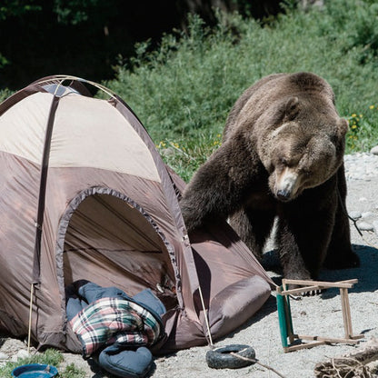 ADMIRAL BEAR SPRAY 100
